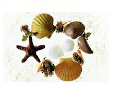 Sea