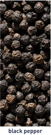 Black Pepper