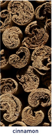 Cinnamon