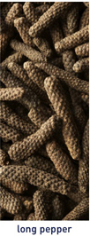 Long Pepper