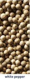 White Pepper